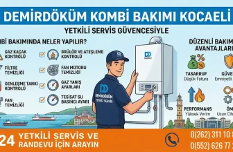 Demirdöküm Kombi Bakımı Kocaeli